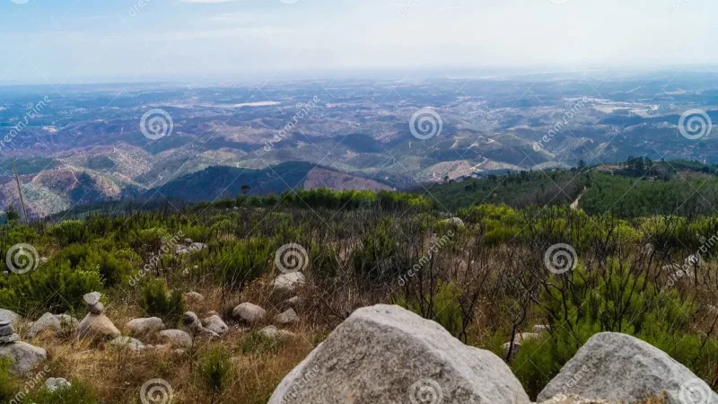 Fóia, Monchique – photo 6