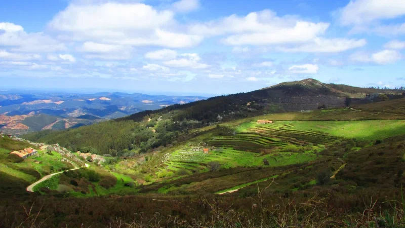 Fóia, Monchique – photo 8