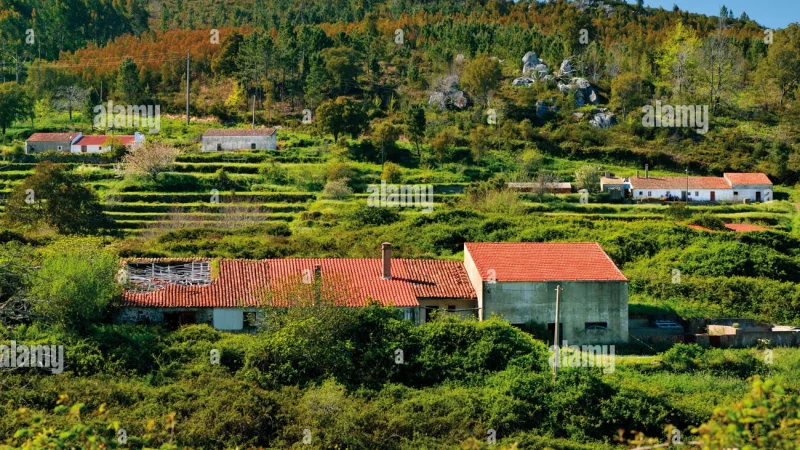 Fóia, Monchique – photo 4