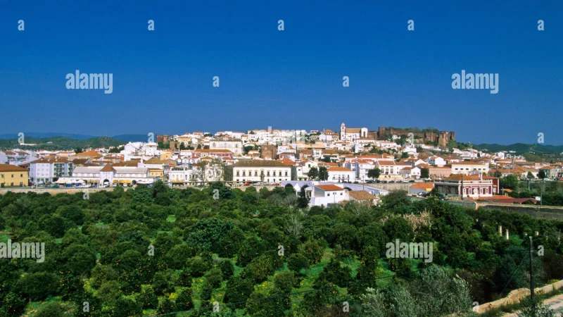 Catedral de Silves – photo 8
