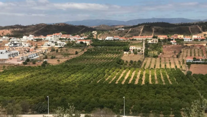 Imagem de Miradouro das Muralhas de Silves