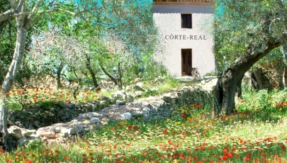 Côrte-Real Gallery