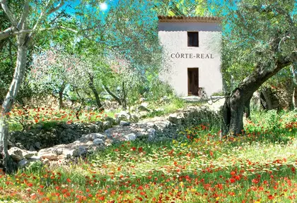 Côrte-Real Gallery
