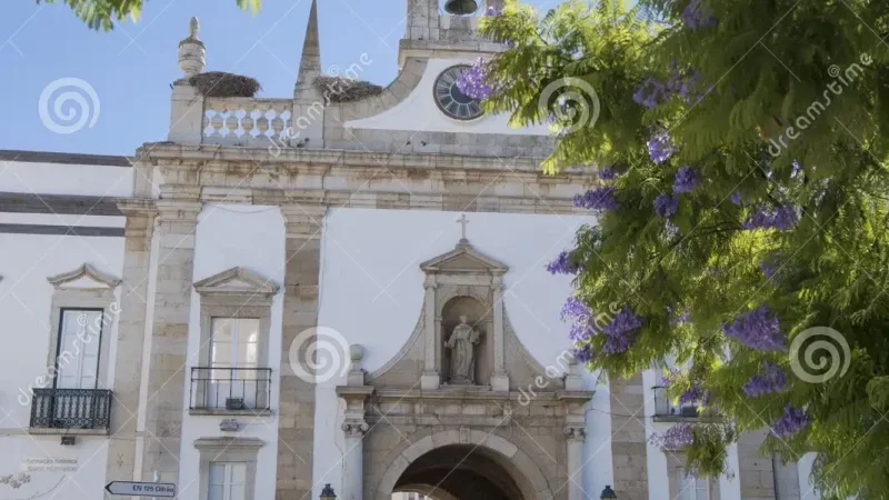 Arco da Vila – photo 10