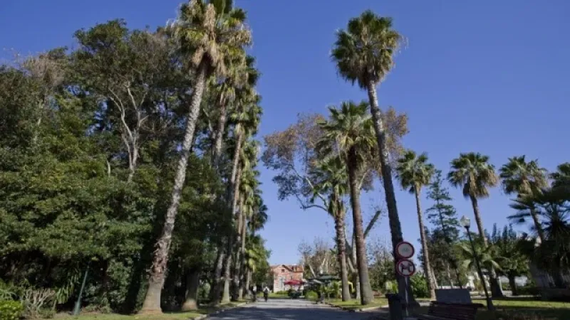 Foto da atividade Jardim da Alameda João de Deus