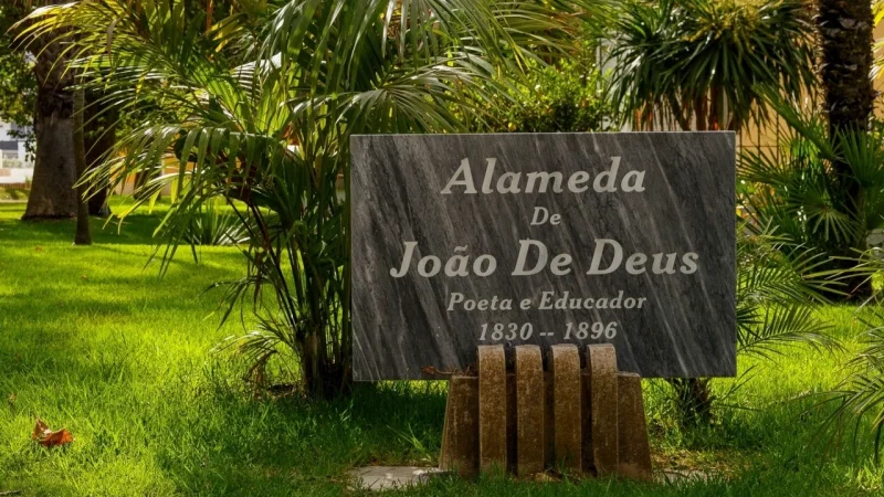 Jardim da Alameda João de Deus – photo 2