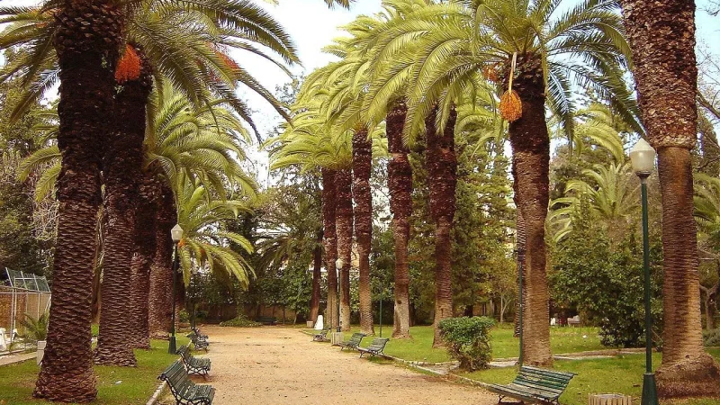 Jardim da Alameda João de Deus – photo 4