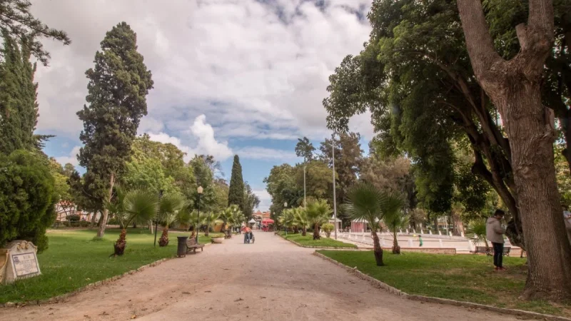 Jardim da Alameda João de Deus – photo 8