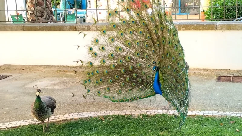 Jardim da Alameda João de Deus – photo 10