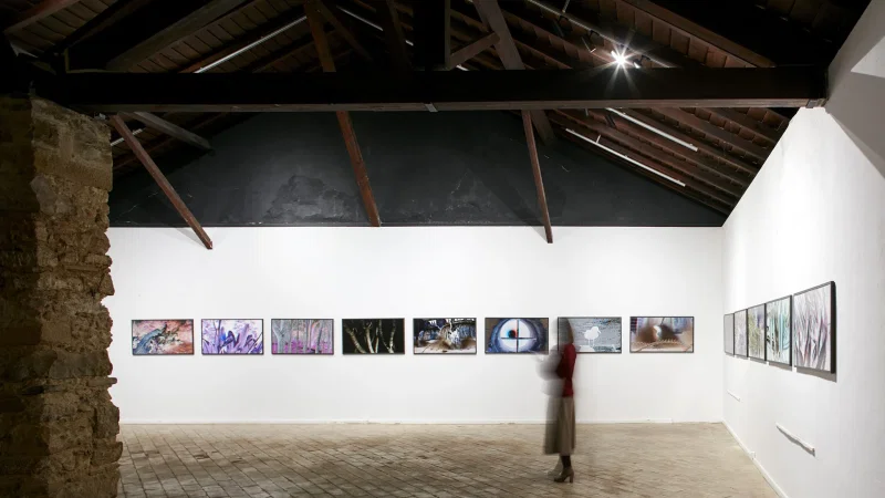 Galeria Municipal TREM – photo 3