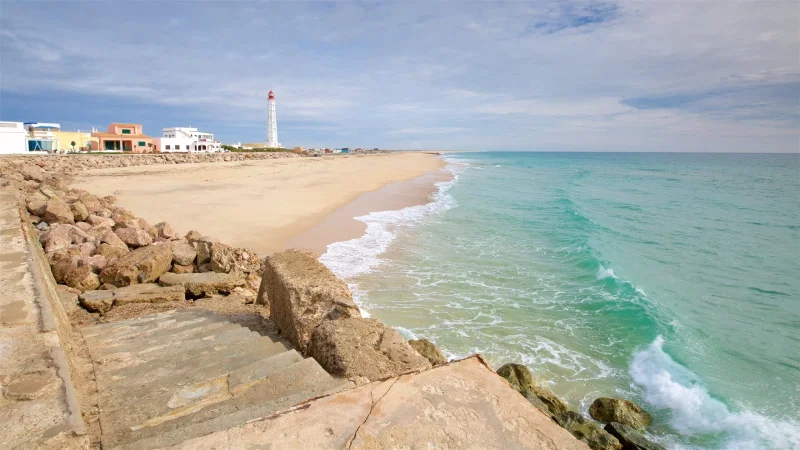 Ilha de Faro – photo 4