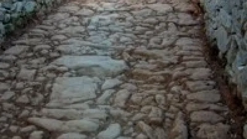 Foto do Ponto de Interesse Calçadinha de São Brás de Alportel