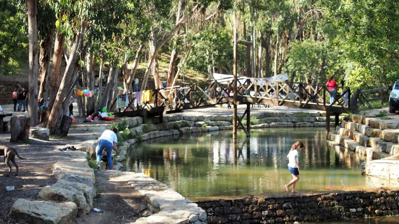 Calçadinha de São Brás de Alportel – photo 9