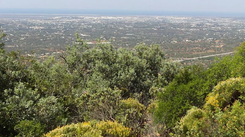 Cerro de São Miguel