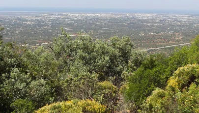 Cerro de São Miguel