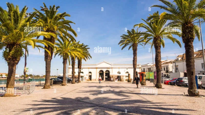 Mercado da Ribeira – photo 6