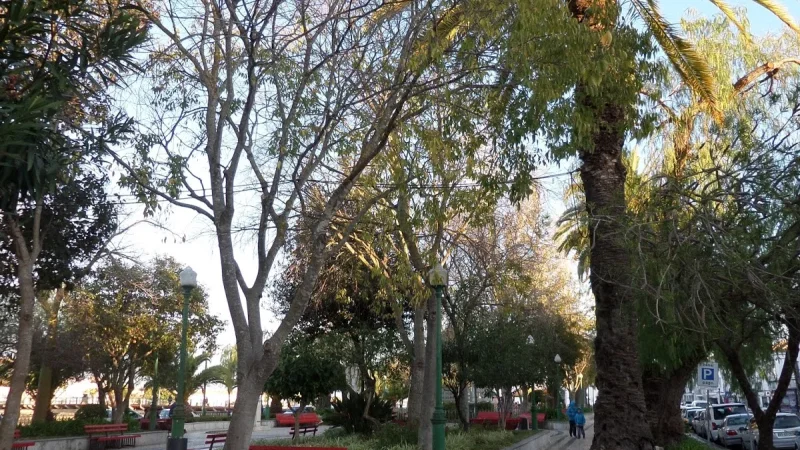 Jardim do Coreto – photo 8