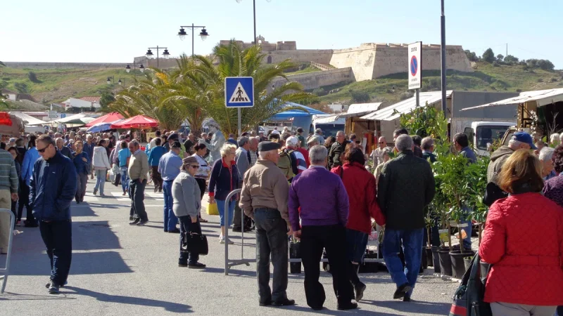 Mercado Municipal de Castro Marim – photo 6