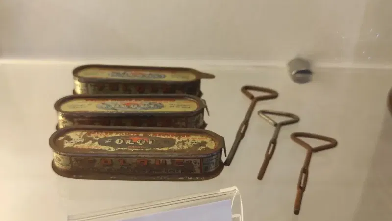 Foto do Ponto de Interesse Arquivo Histórico Municipal António Rosa Mendes