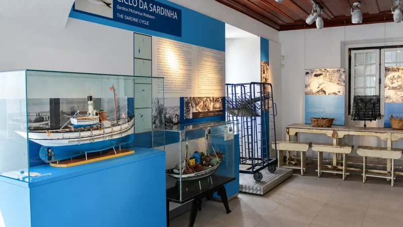 Arquivo Histórico Municipal António Rosa Mendes – photo 3