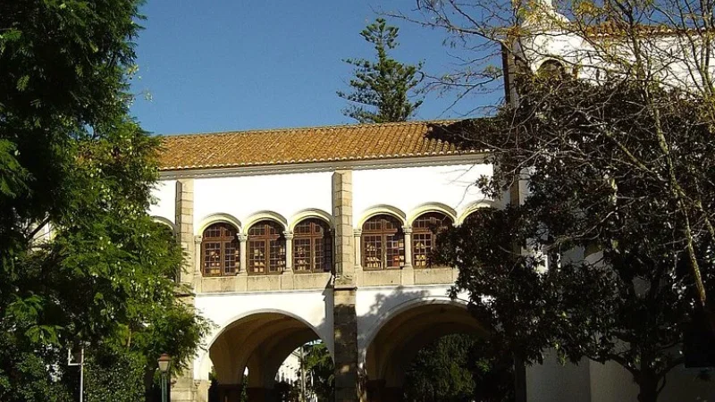 Palácio de Dom Manuel I – photo 8