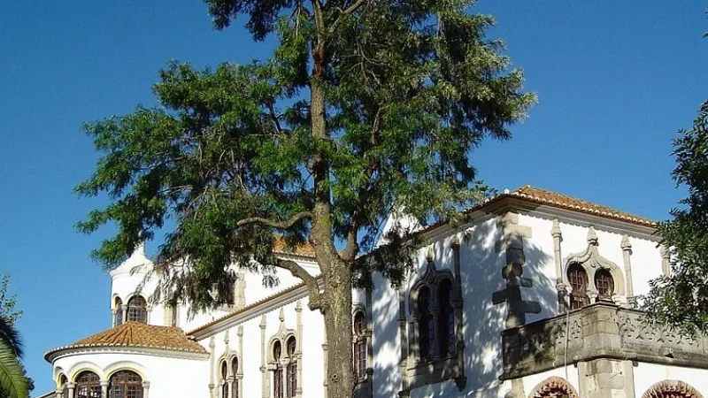Palácio de Dom Manuel I – photo 6
