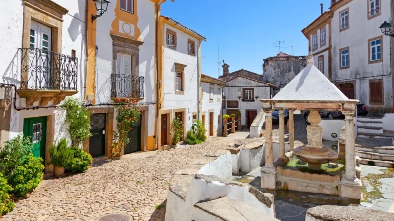 Sé de Portalegre – photo 6