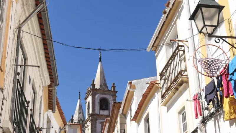 Sé de Portalegre – photo 7