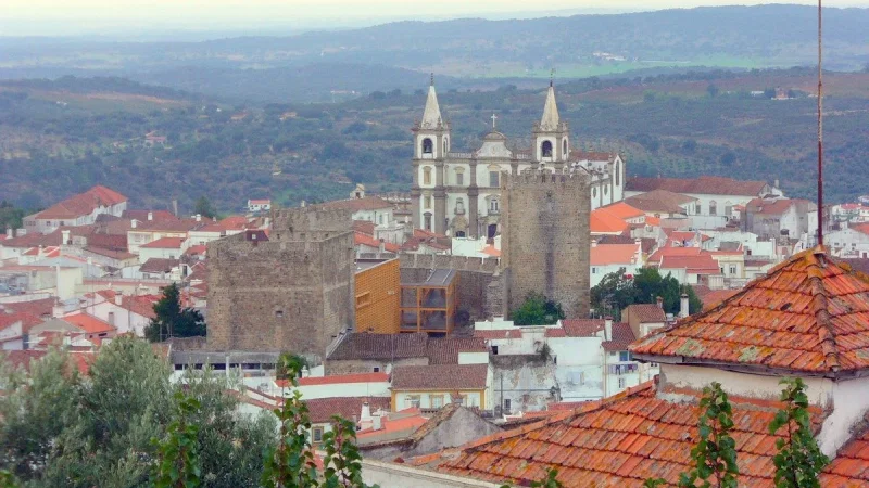 Sé de Portalegre – photo 10