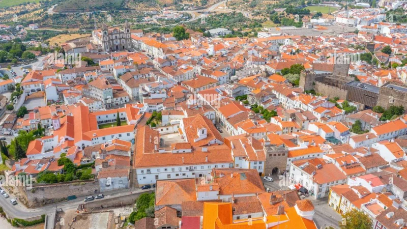 Sé de Portalegre – photo 3