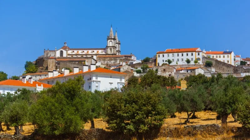 Sé de Portalegre – photo 5