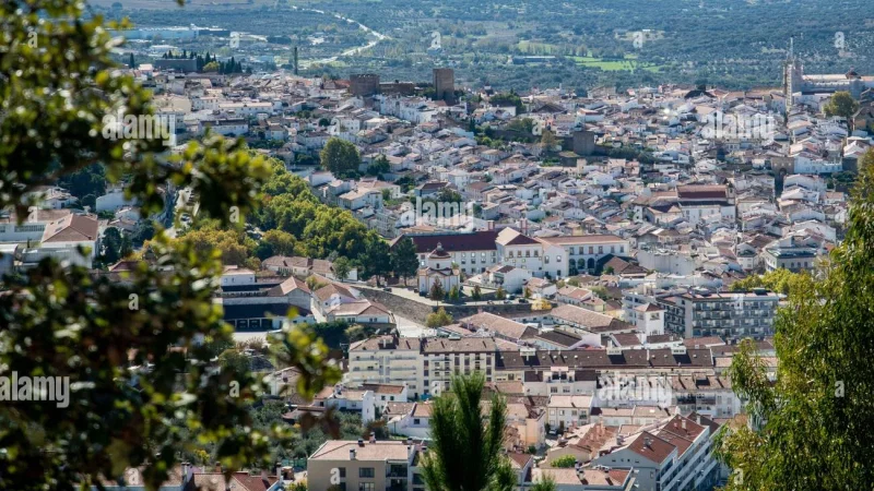 Castelo de Portalegre – photo 5