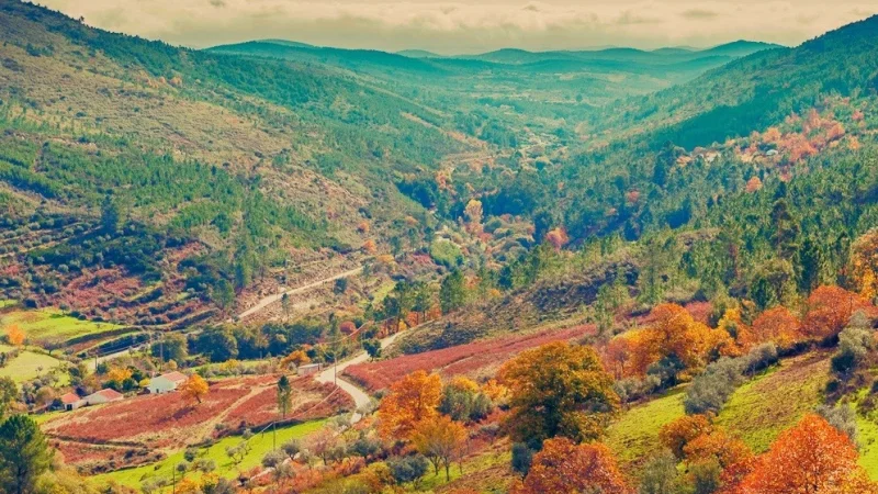 Parque Natural da Serra de São Mamede – photo 7