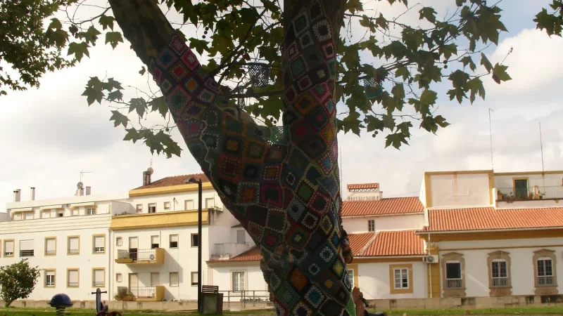Jardim da Corredoura – photo 12