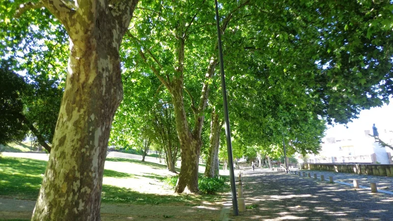 Jardim da Corredoura – photo 10