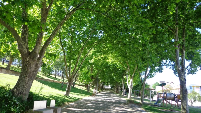 Jardim da Corredoura – photo 6