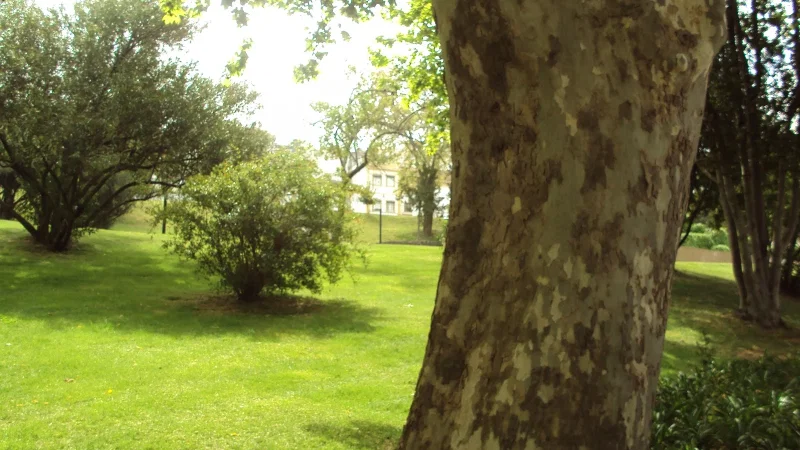 Jardim da Corredoura – photo 8