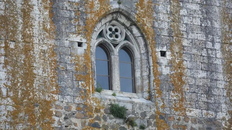 Foto do Ponto de Interesse Castelo de Beja