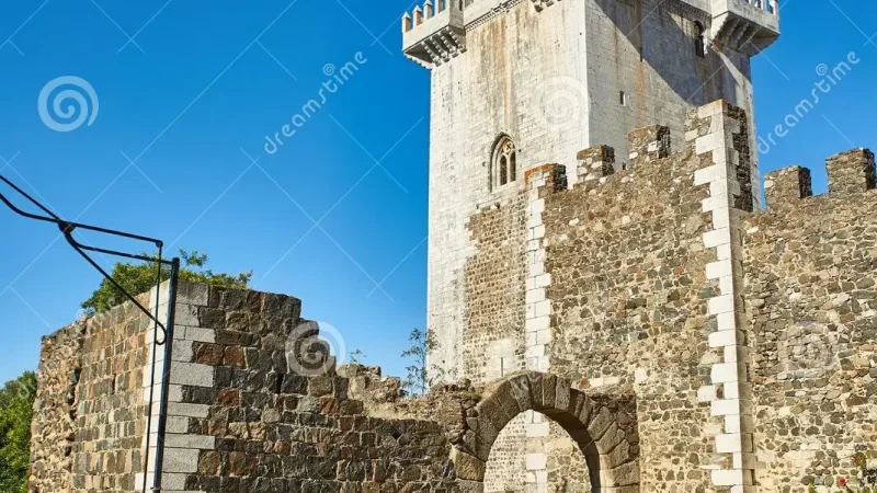 Castelo de Beja – photo 8