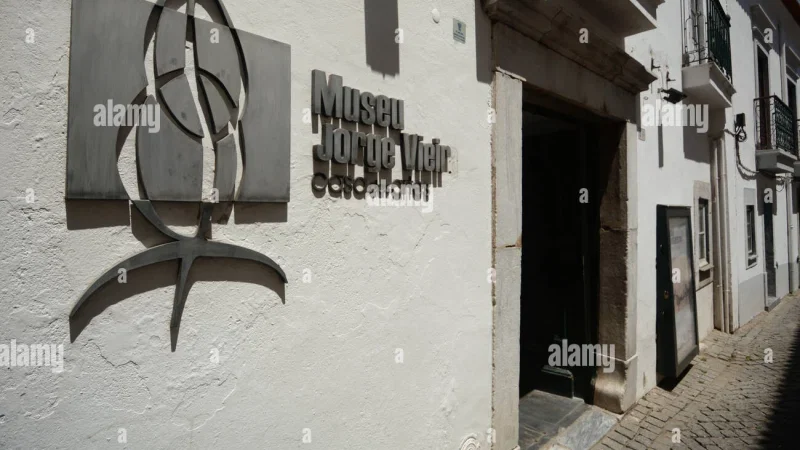 Museu Jorge Vieira - Casa das Artes – photo 9