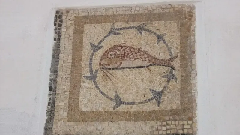 Foto do Ponto de Interesse Museu Regional de Beja / Museu Rainha Leonor