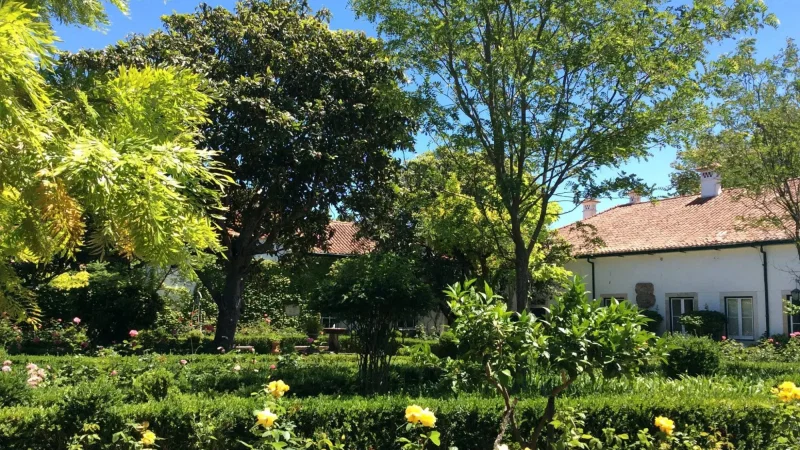 Casa Museu Passos Canavarro – photo 4
