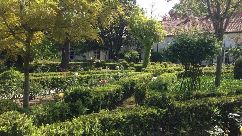 Casa Museu Passos Canavarro – photo 5