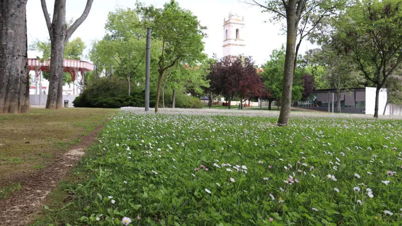 Foto do Ponto de Interesse Jardim da República