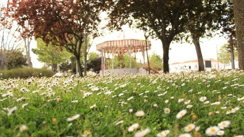 Jardim da República – photo 4