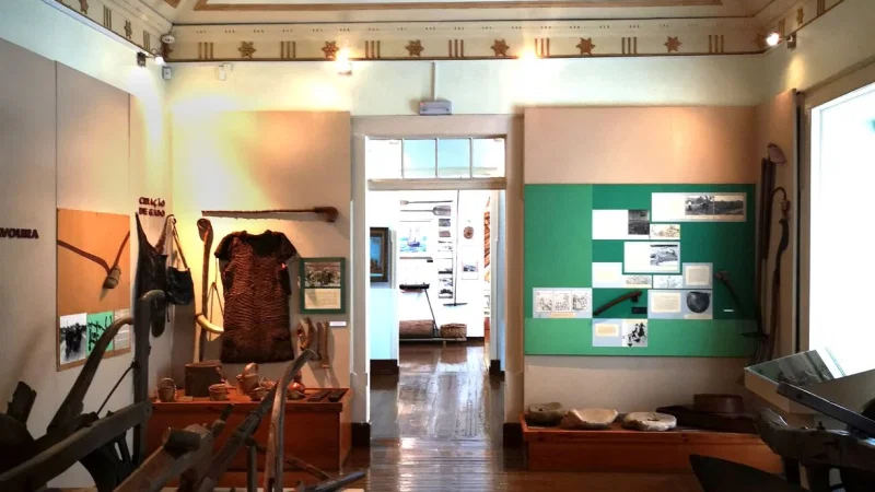 Museu de Arqueologia e Etnografia do Distrito de Setúbal