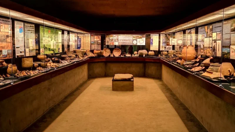 Museu de Arqueologia e Etnografia do Distrito de Setúbal – photo 3