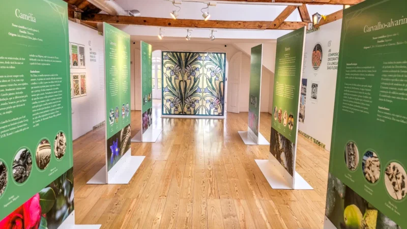 Museu de Arte Nova – photo 2