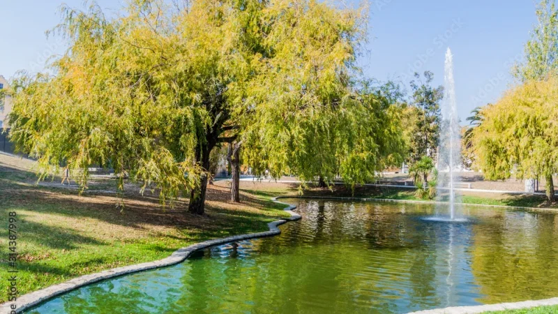Parque Infante Dom Pedro - Parque da Cidade de Aveiro – photo 7