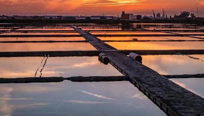 Salinas de Aveiro